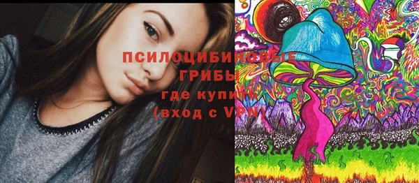 сатива Пересвет