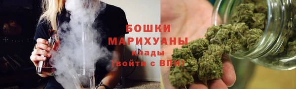 сатива Пересвет