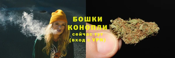 прущая мука Богородицк