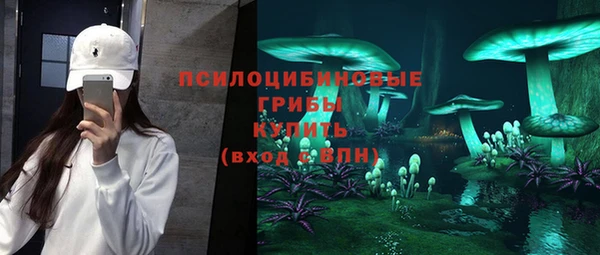 бошки Богданович