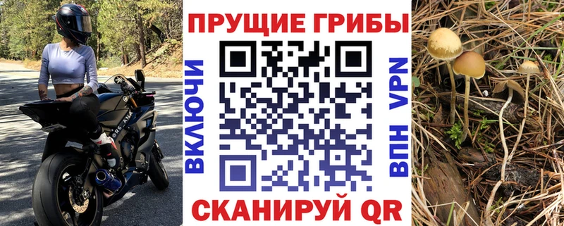 Галлюциногенные грибы мицелий  Велиж 